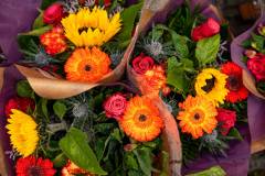 KevinvlPhotography_20251012_140217_4Mijl_DSC08771-HR