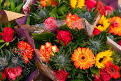 KevinvlPhotography_20251012_140221_4Mijl_DSC08775-HR